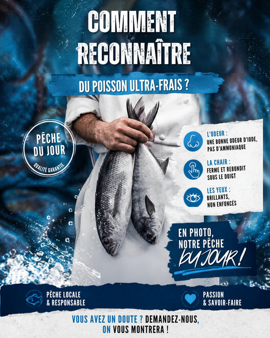 Campagne marketing digitale colorée présentant une solution créative personnalisée pour entreprises et entrepreneurs.